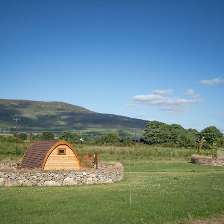 Bluebell Lane Glamping Newry Exterior foto