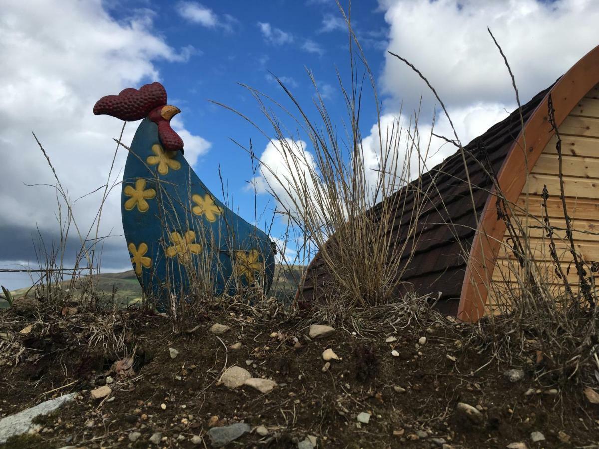 Bluebell Lane Glamping Newry Exterior foto