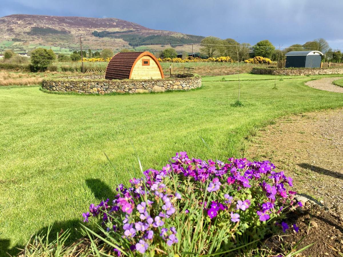 Bluebell Lane Glamping Newry Exterior foto