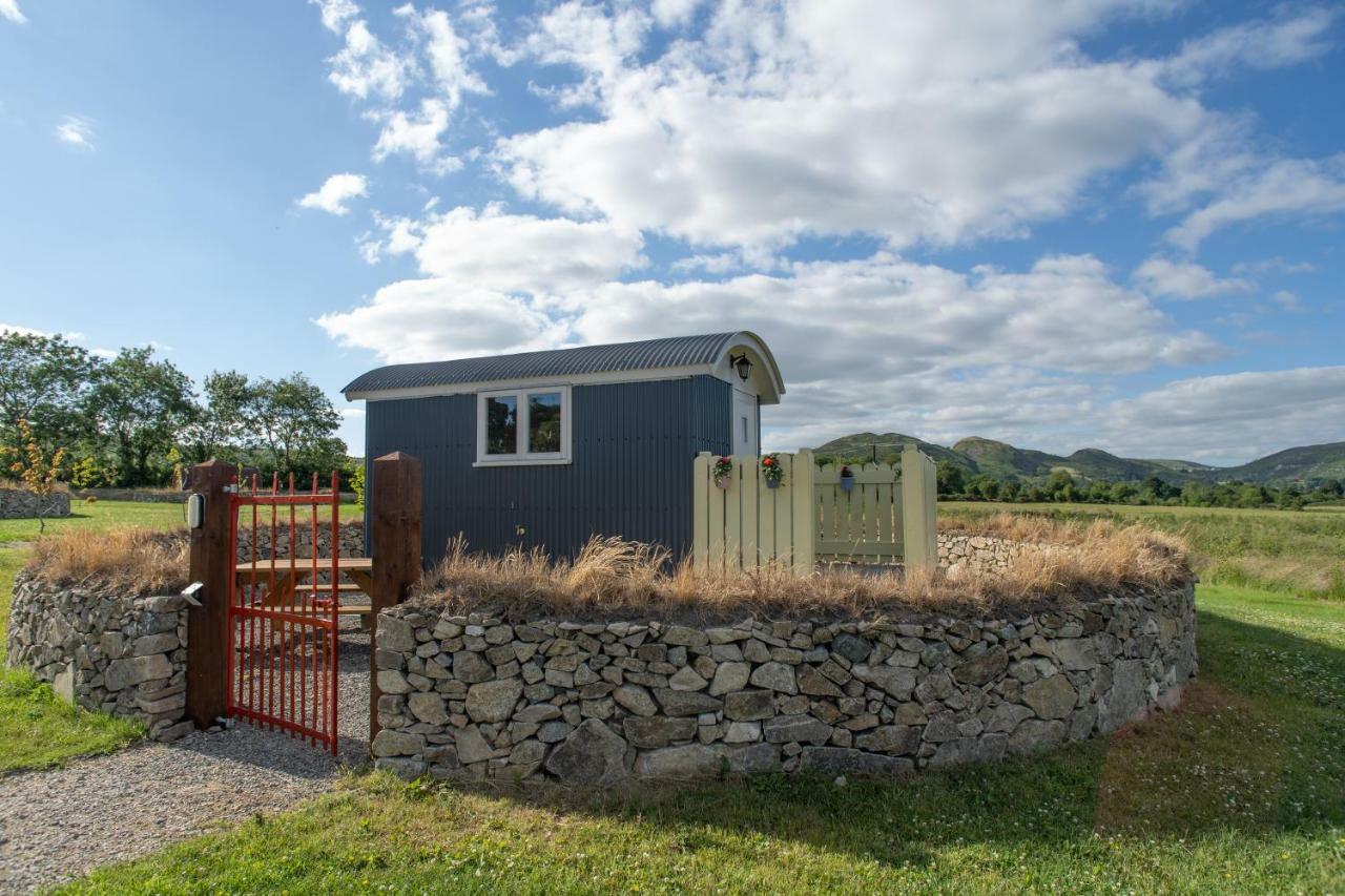 Bluebell Lane Glamping Newry Exterior foto