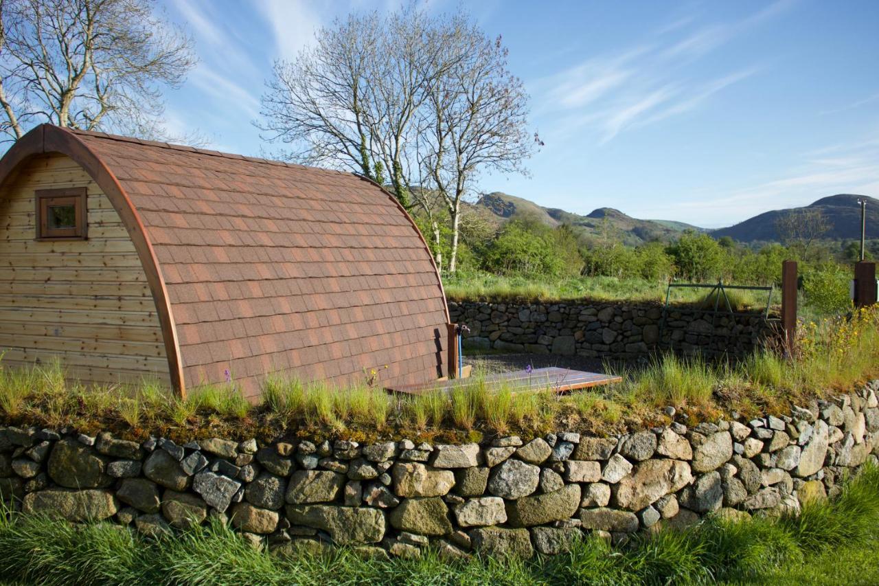 Bluebell Lane Glamping Newry Exterior foto