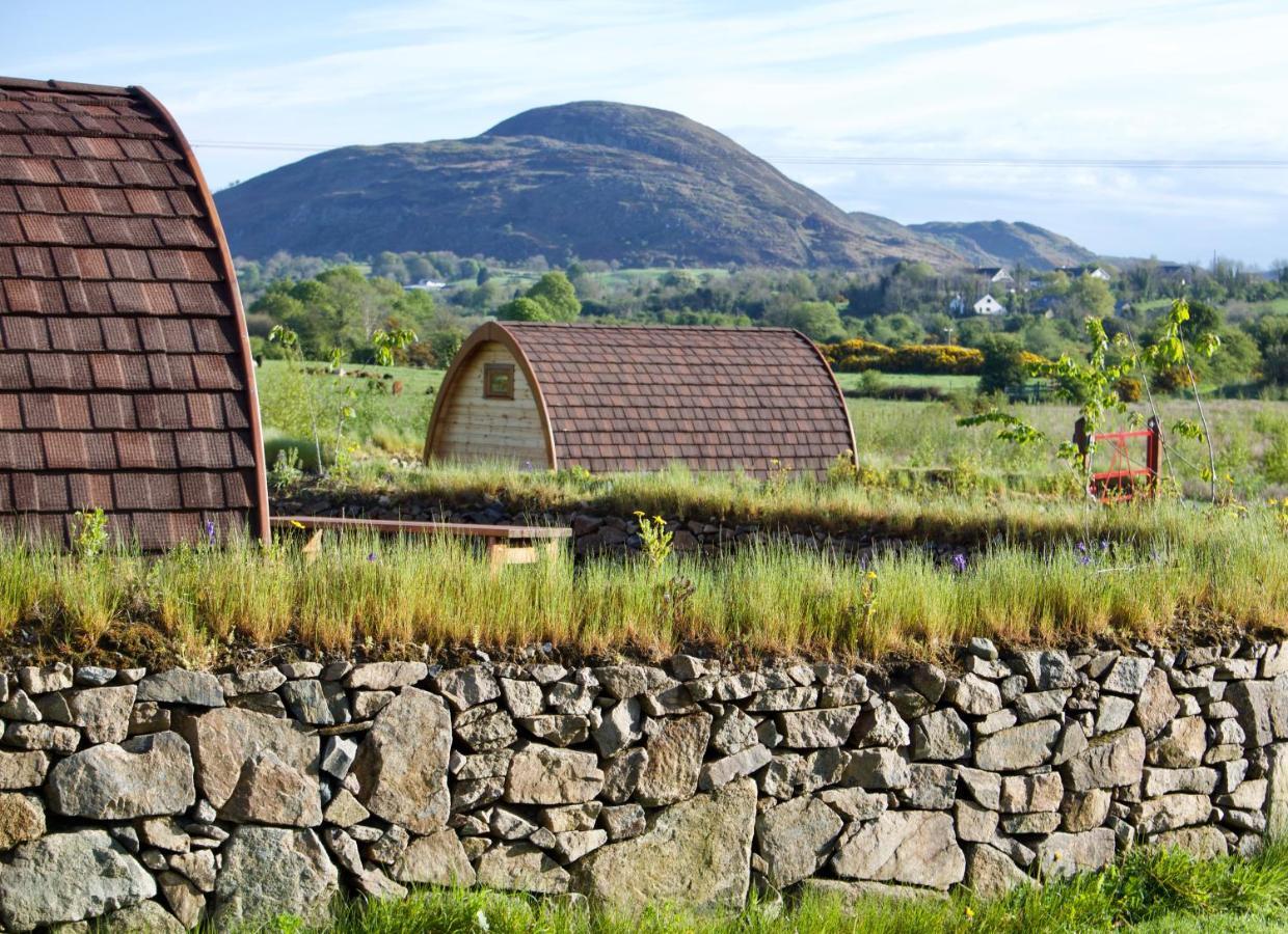 Bluebell Lane Glamping Newry Exterior foto